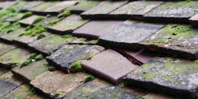 Sharnbrook roof repair costs
